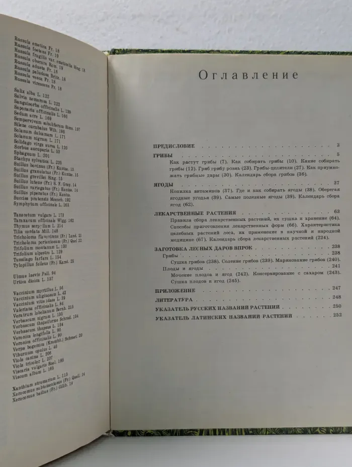 Дары наших лесов
