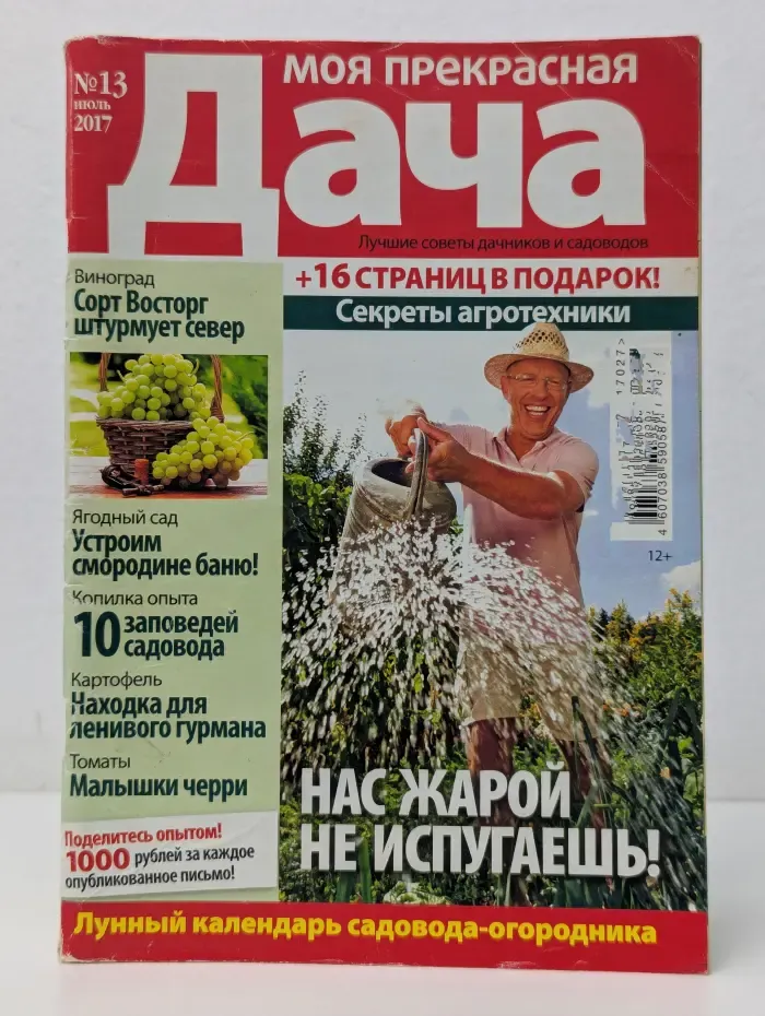Моя прекрасная дача. Выпуск № 13/2017