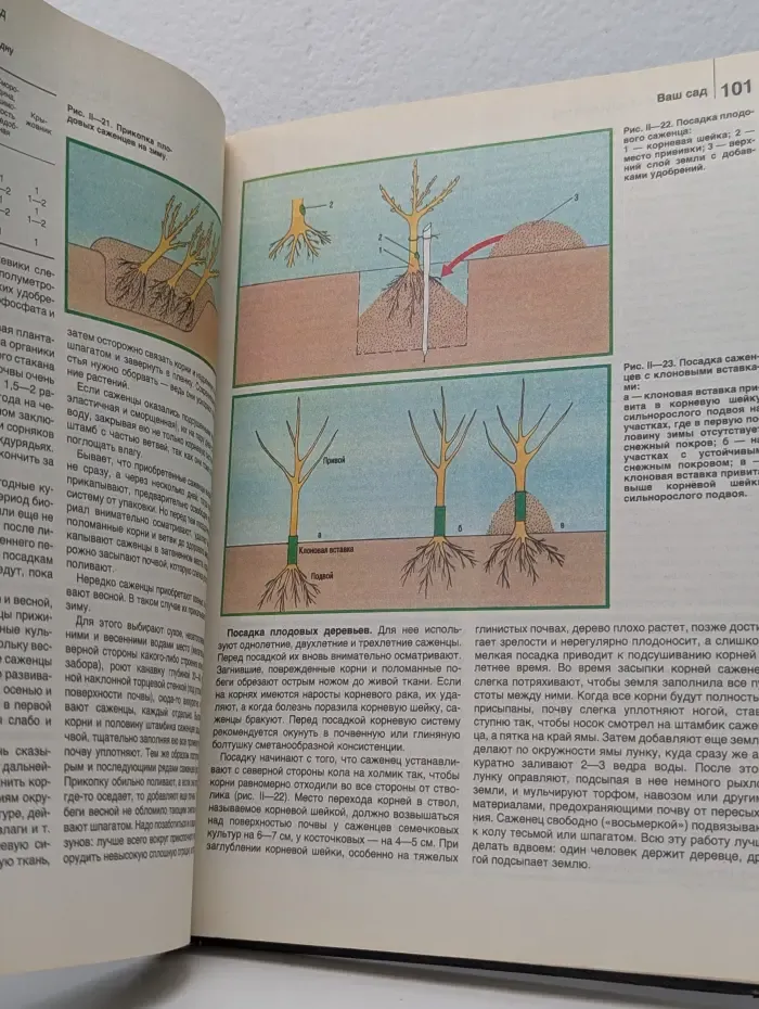 Дом и усадьба