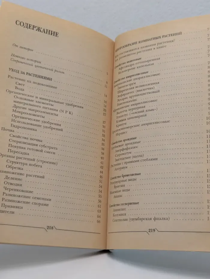 Домашний очаг. Цветы на подоконнике
