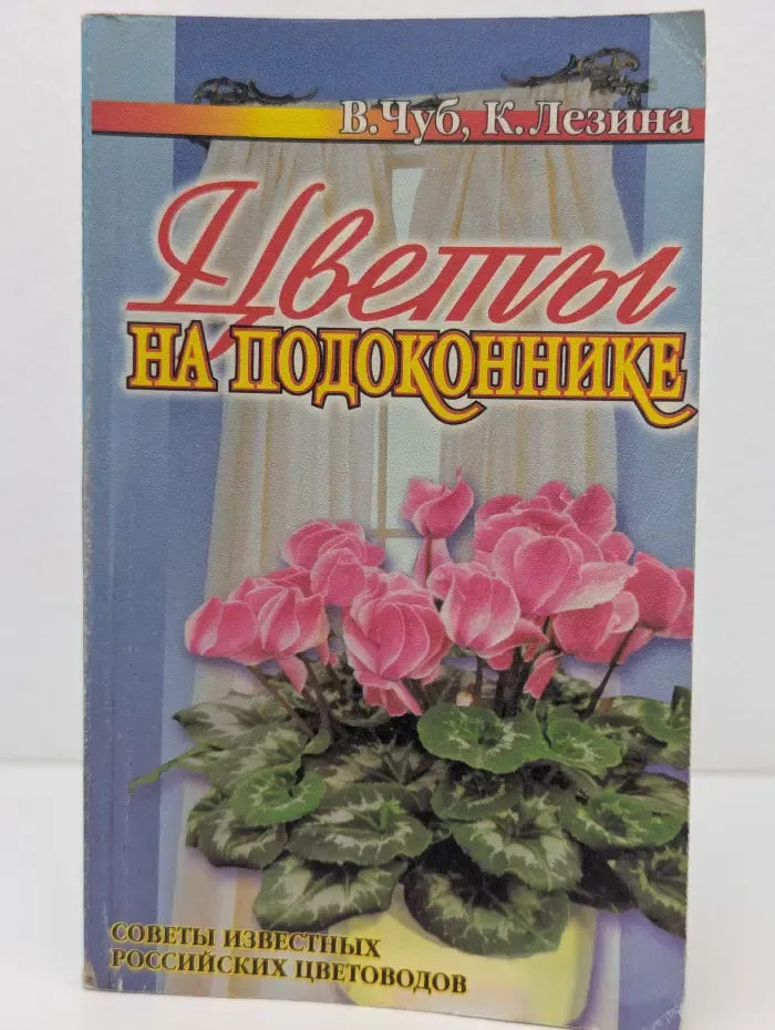 Домашний очаг. Цветы на подоконнике