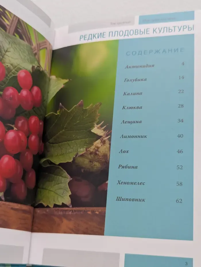 Моя чудесная дача. Том 10. Редкие плодовые культуры
