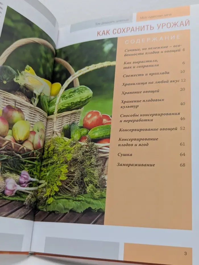 Моя чудесная дача. Том 29. Как сохранить урожай