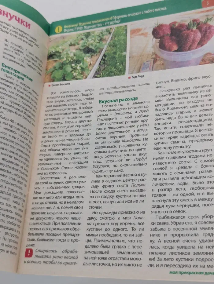 Моя прекрасная дача. Выпуск № 13/2022