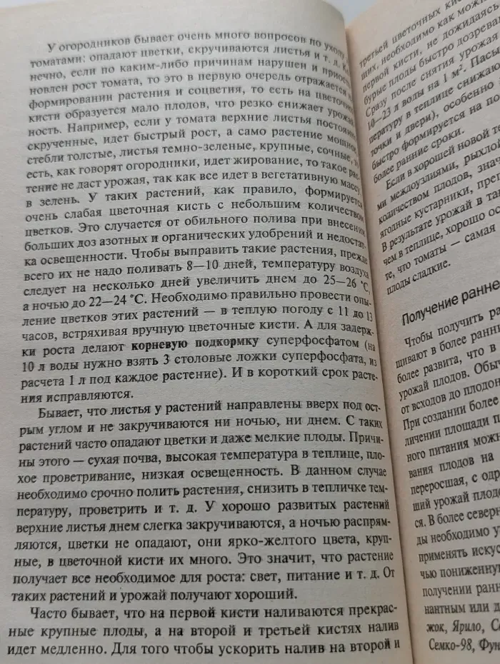Наш огород