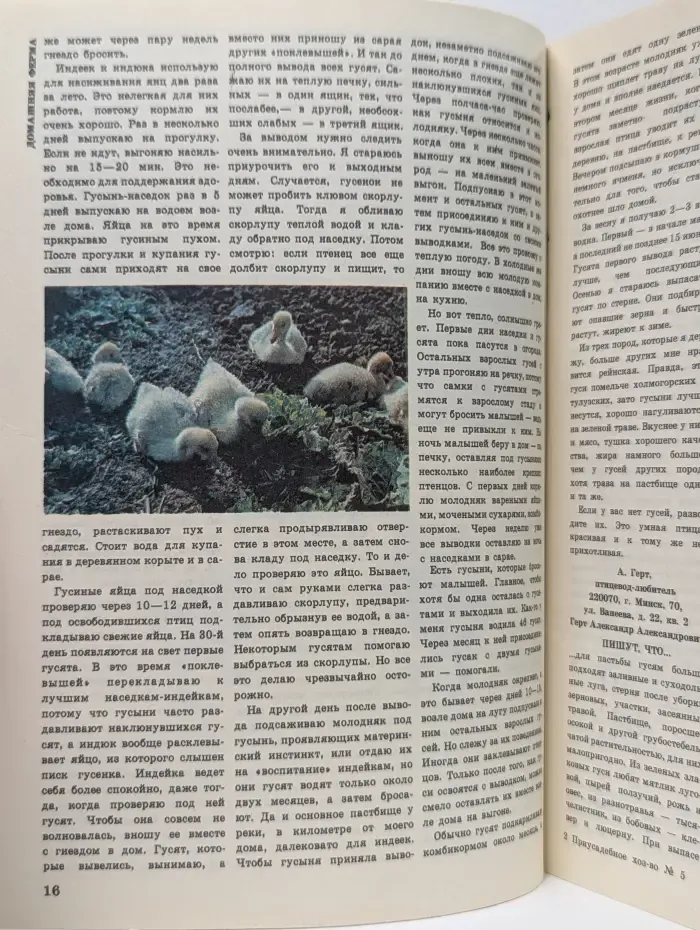 Приусадебное хозяйство. выпуск № 5/1986
