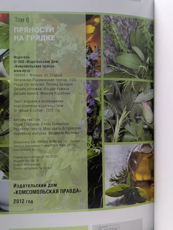 Моя чудесная дача. Том 6. Пряности на грядке