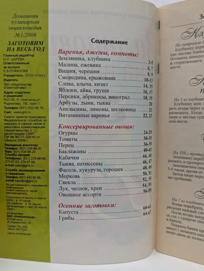 Домашняя кулинарная энциклопедия. Выпуск № 1/2009. Заготовим на весь год