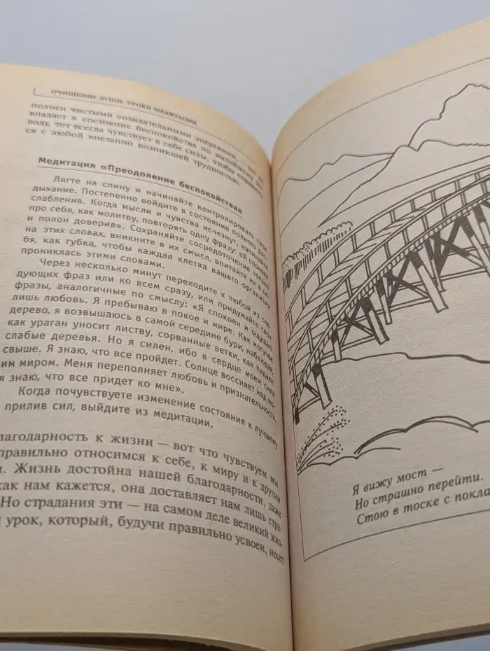 Классика естественной медицины. Очищение души. Уроки медитации