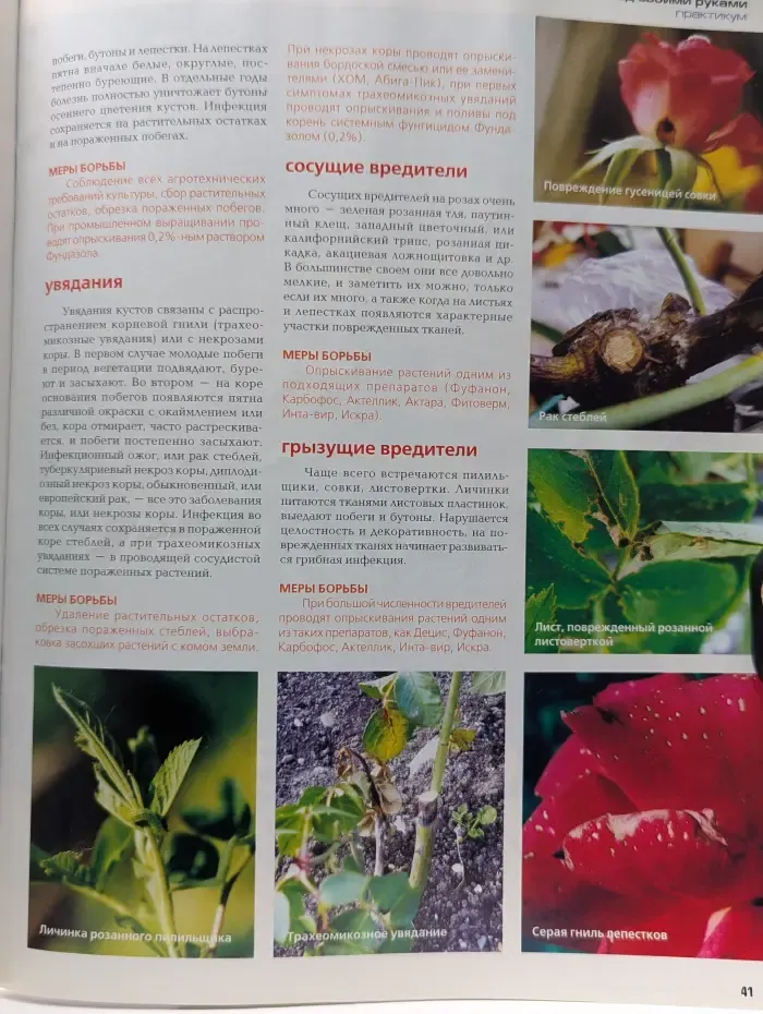 Сад своими руками. Выпуск № 8/2007