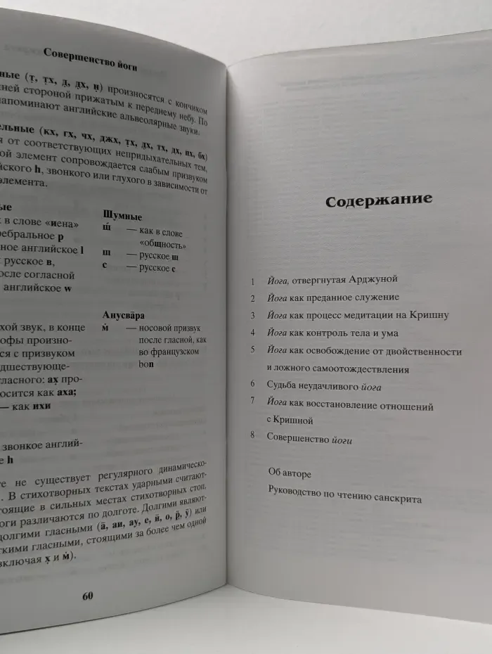 Бхактиведанта. Совершенство йоги