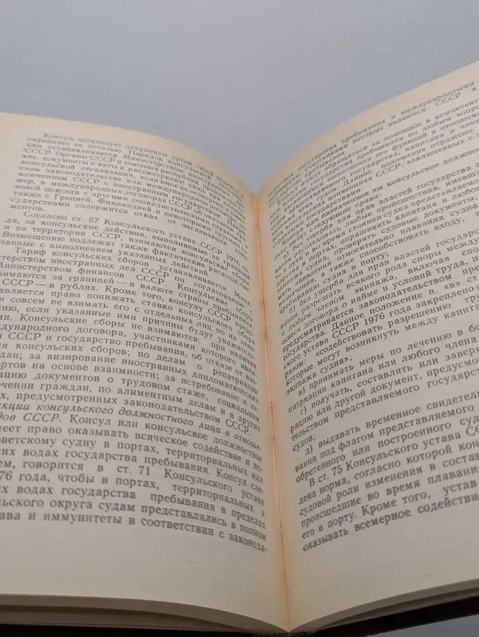 Основы консульской службы