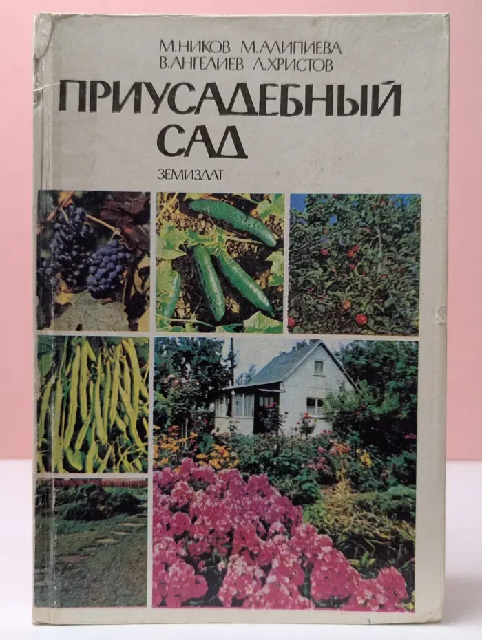 Приусадебный сад