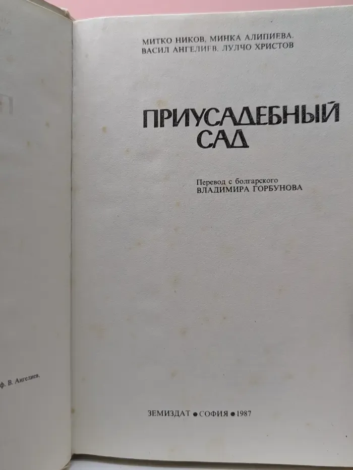 Приусадебный сад