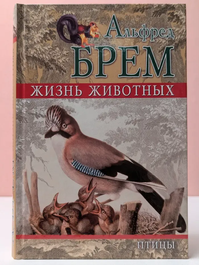 Жизнь животных. Том 1. Птицы