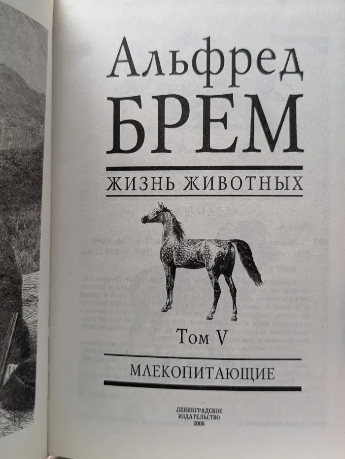 Жизнь животных. В 6 томах. Том 5. Млекопитающие