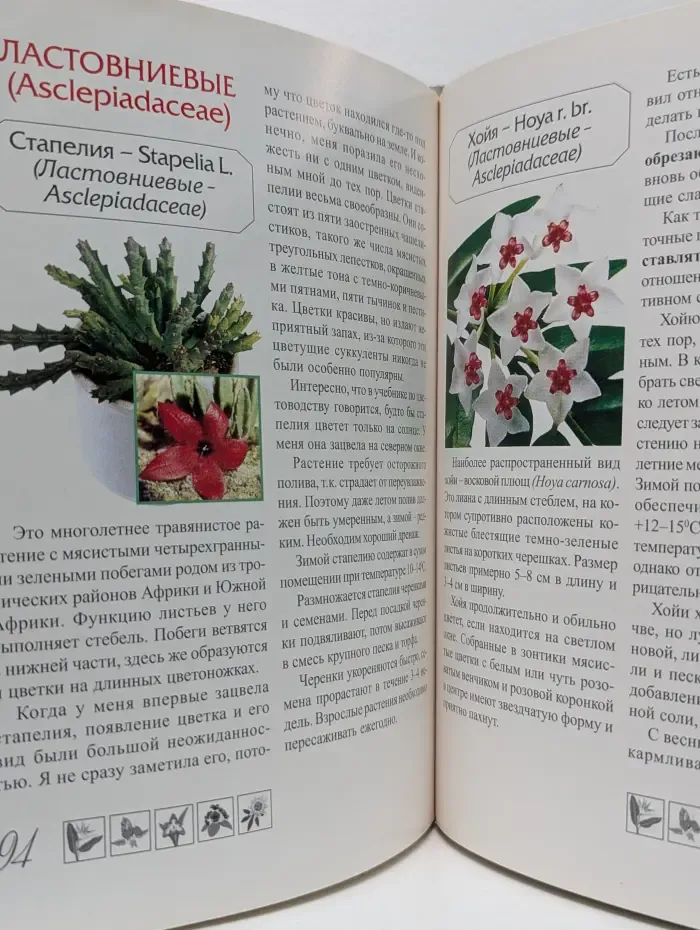 Цветущие комнатные растения