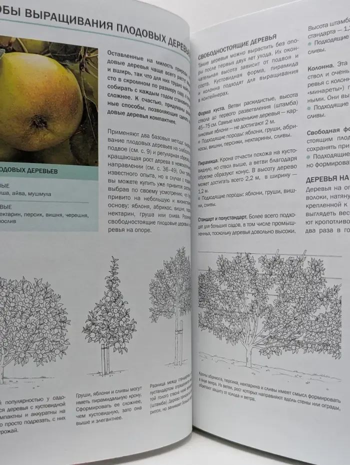 Наш сад. Фруктовый сад. Иллюстрированный справочник