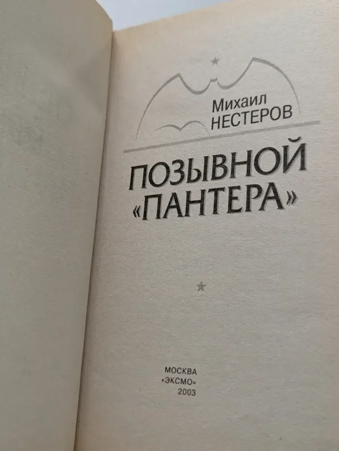 Спецназ ГРУ. Позывной Пантера