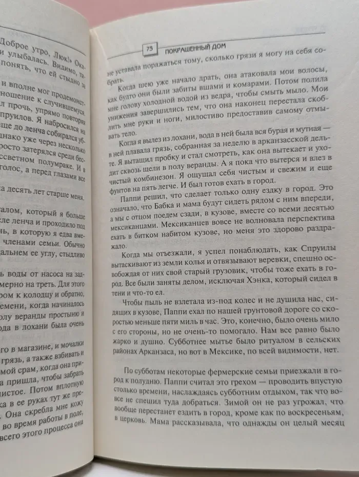 The International Bestseller. Покрашенный дом
