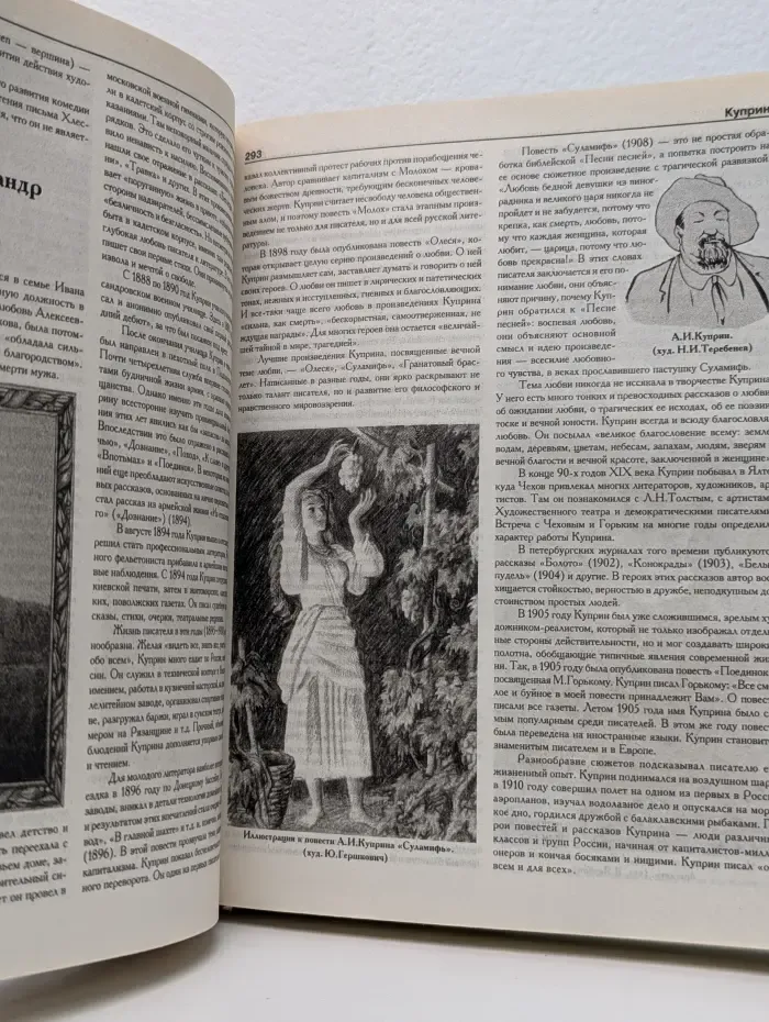 Большая энциклопедия школьника. Литература