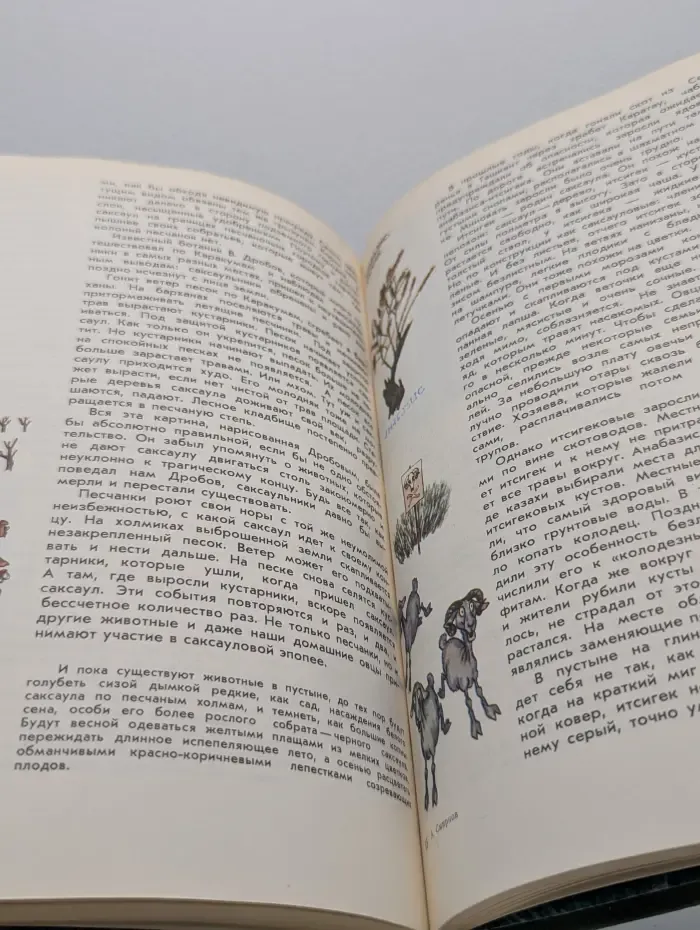 Эврика. Мир растений. Рассказы о саксауле, селитрянке, баобабе, березах, кактусах