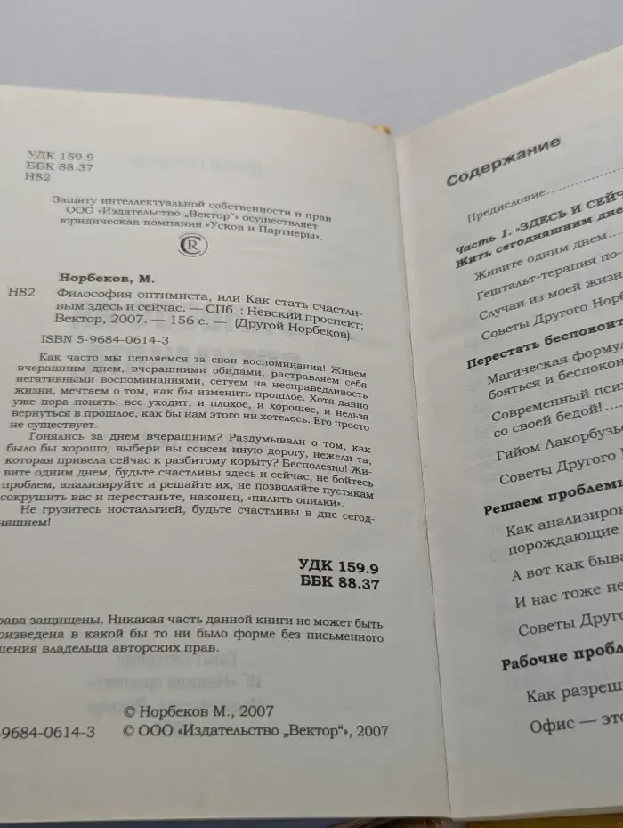 Другой Норбеков. Философия оптимиста, или Как стать счастливым здесь и сейчас
