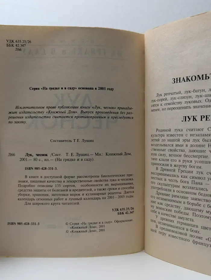 На грядке и в саду. Лук, чеснок