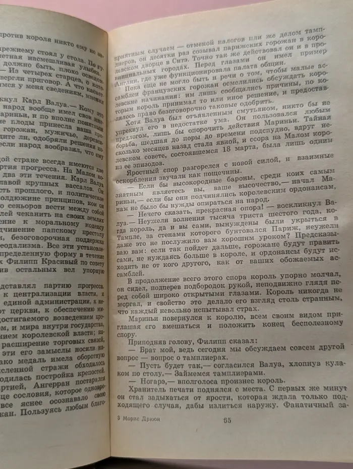 Железный король. Узница Шато-Гайара