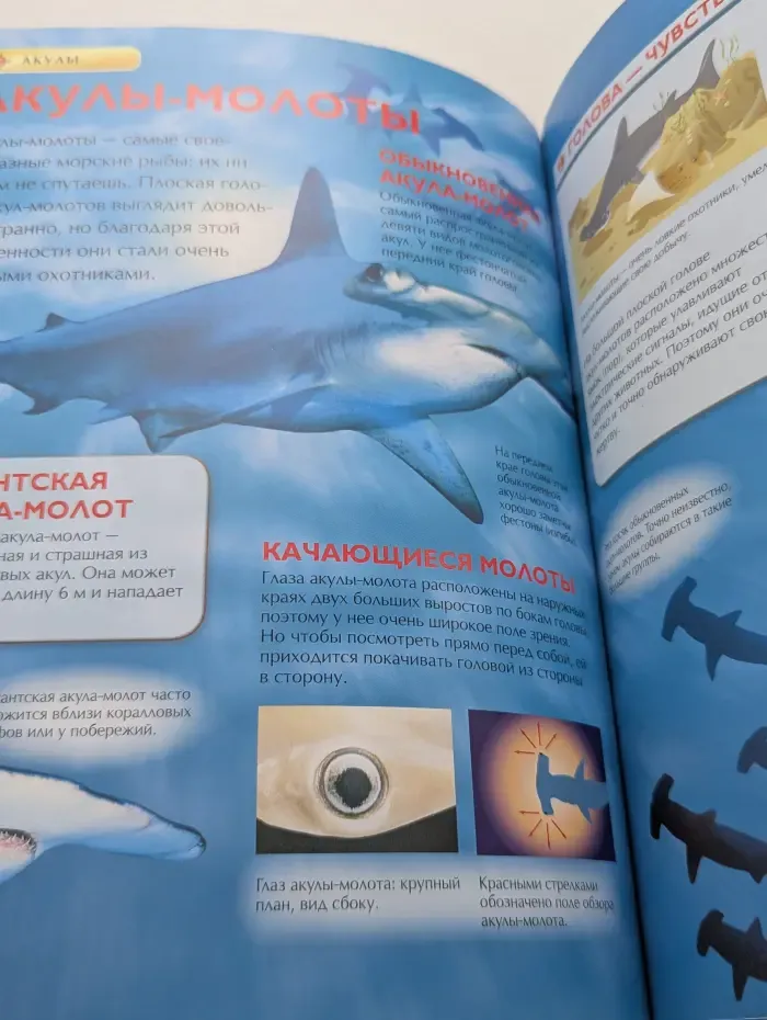 Детская энциклопедия. Акулы