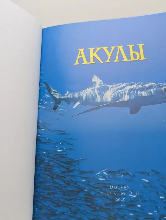 Детская энциклопедия. Акулы