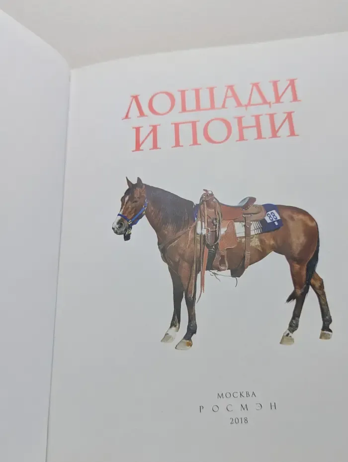 Детская энциклопедия. Лошади и пони
