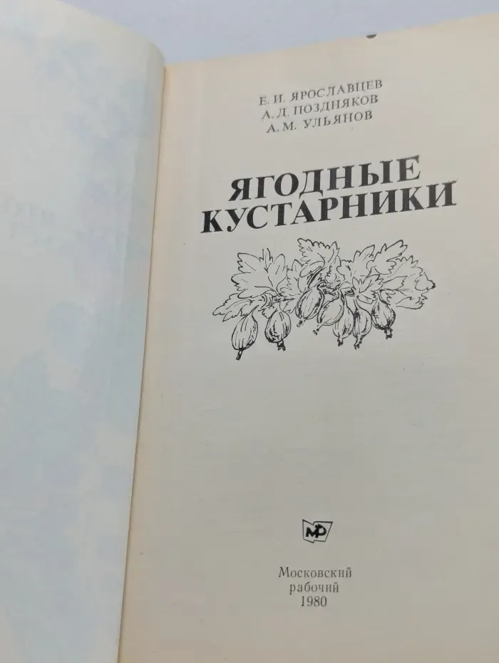 Ягодные кустарники