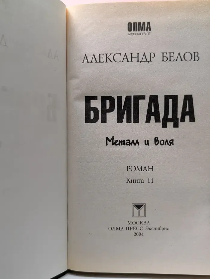Бригада. Книга 11. Металл и воля