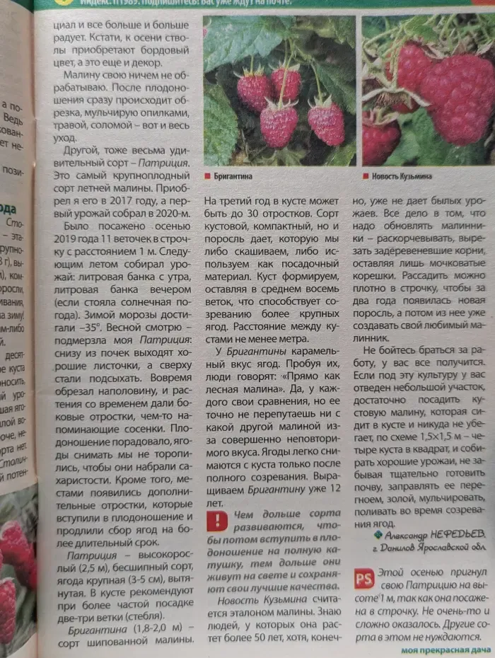 Моя прекрасная дача. Выпуск № 7/2022
