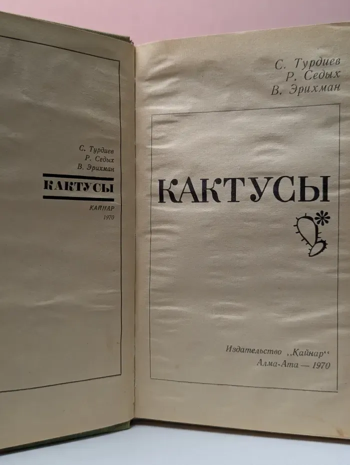 Кактусы