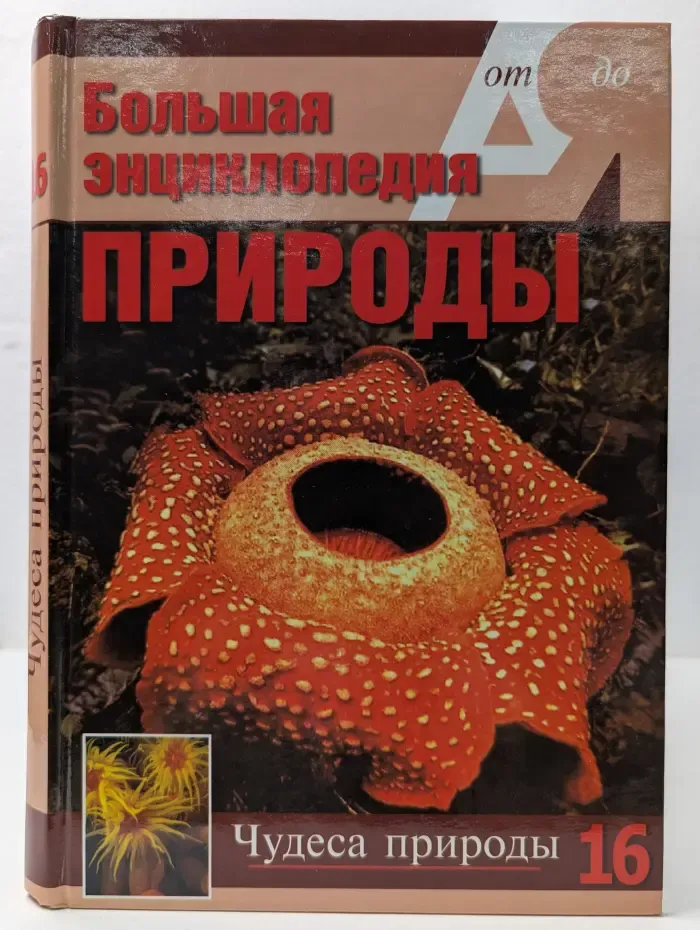 Большая энциклопедия природы. Том 16. Чудеса природы