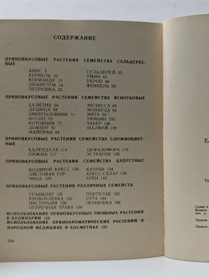 Пряная зелень на грядках