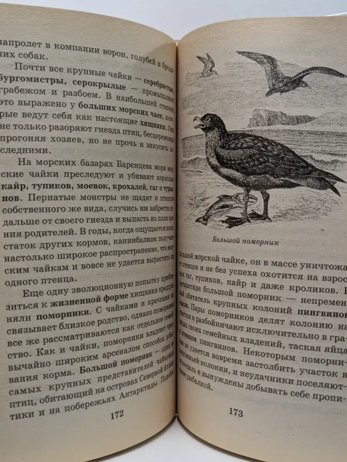 Я познаю мир. Птицы