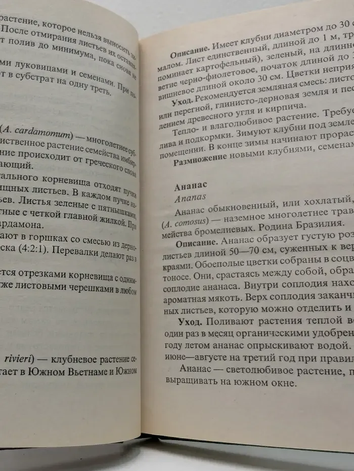 Библиотека увлечений. Комнатное цветоводство