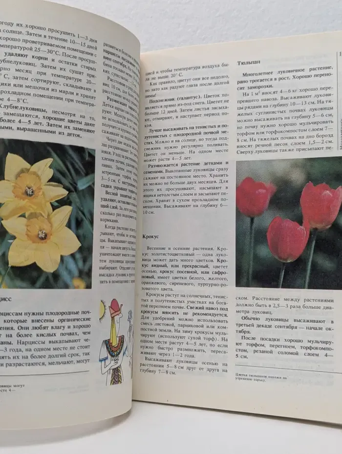 Домашняя библиотека. Сад. Огород. Усадьба. Энциклопедия для начинающих