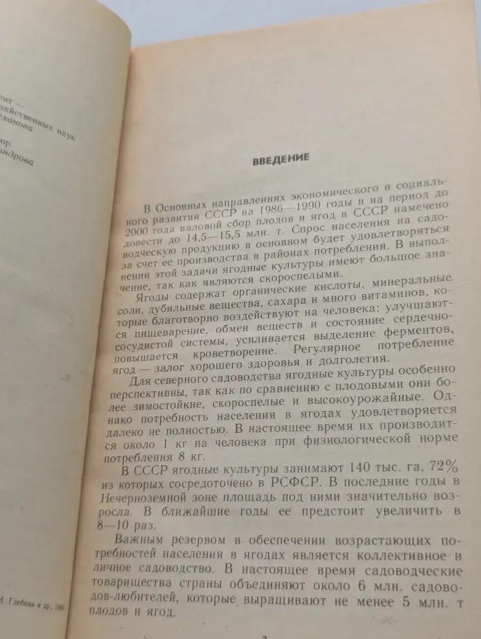 Ягодный сад
