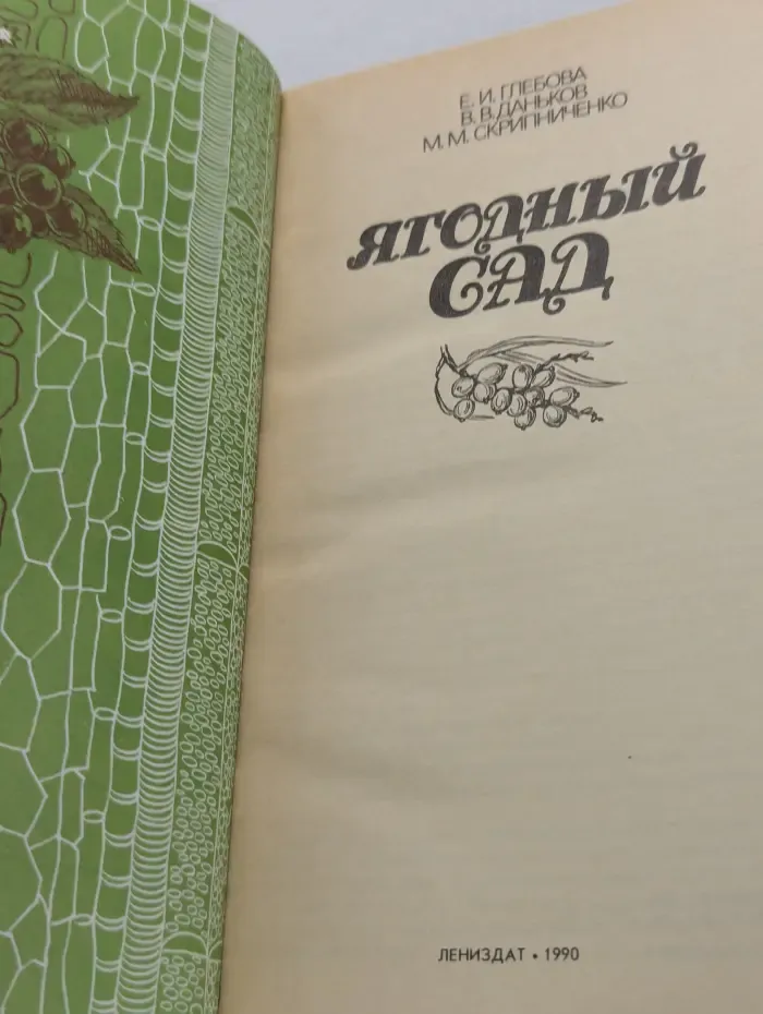 Ягодный сад