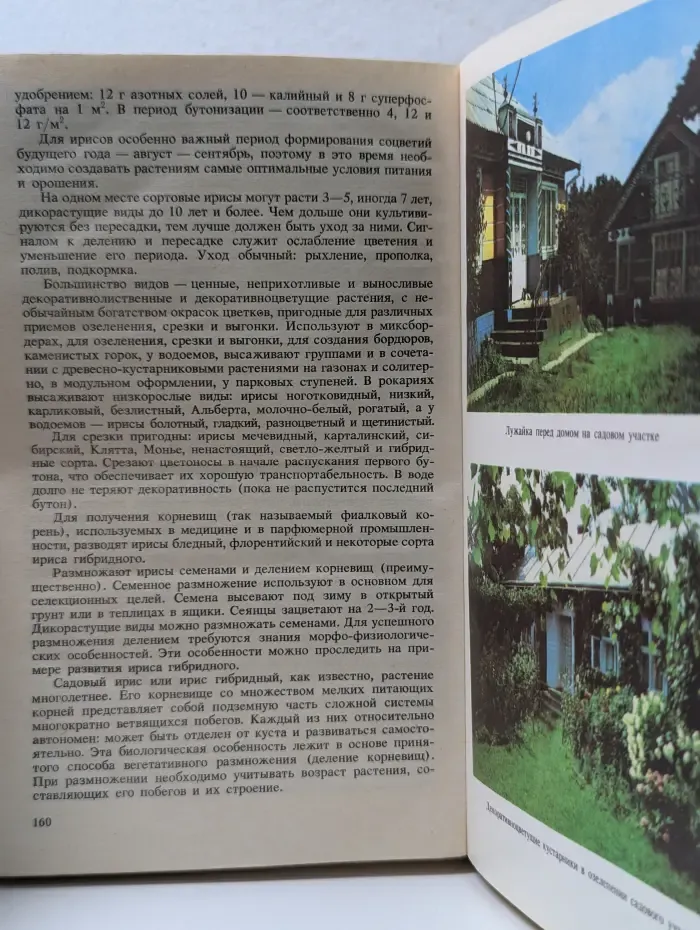 Приусадебное цветоводство