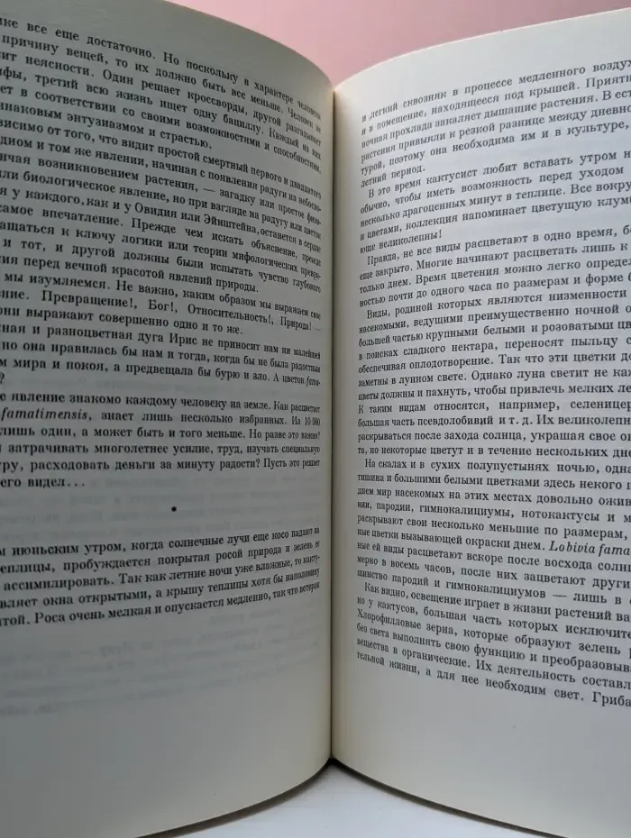Колючее чудо