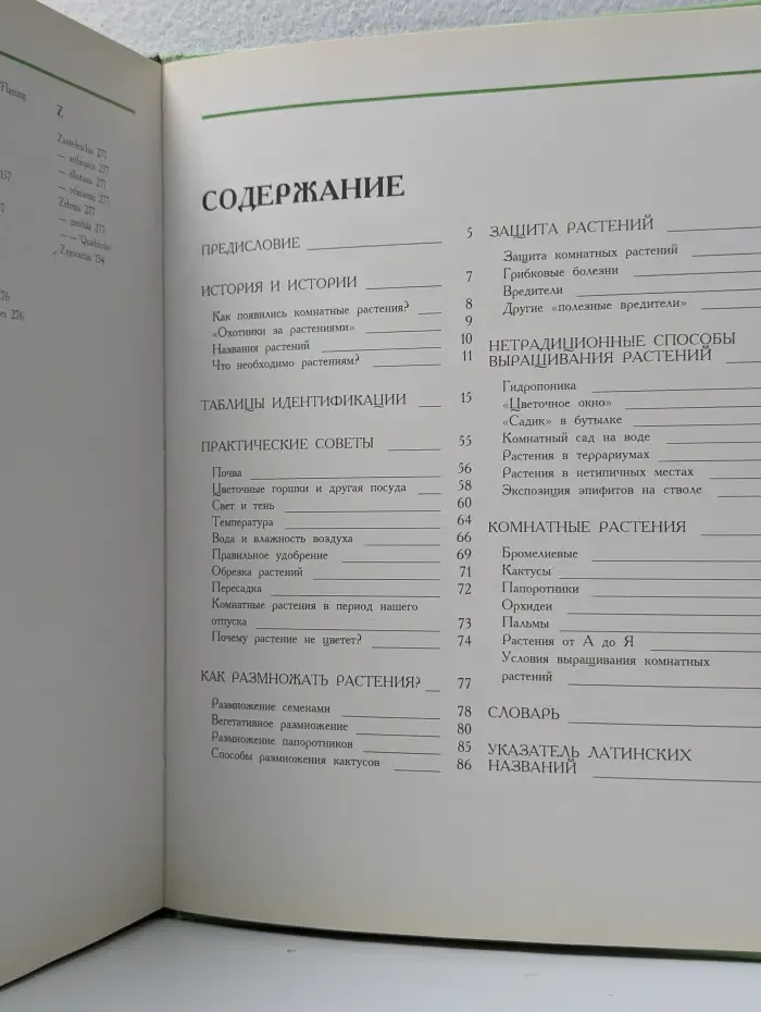 Цветы в нашем доме