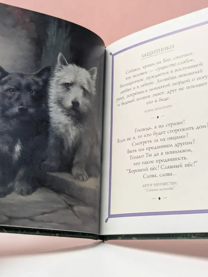 Высказывания. Собаки