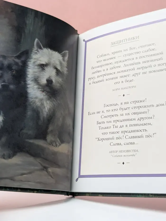 Высказывания. Собаки. Сборник симпатичных картинок и остроумных наблюдений