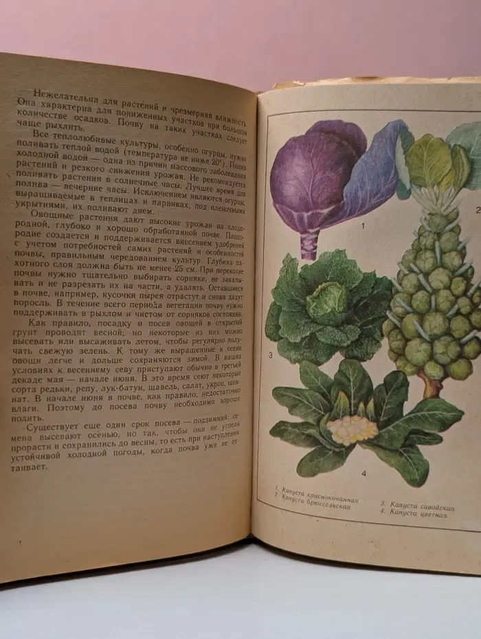 На приусадебном участке. Советы садоводу и огороднику