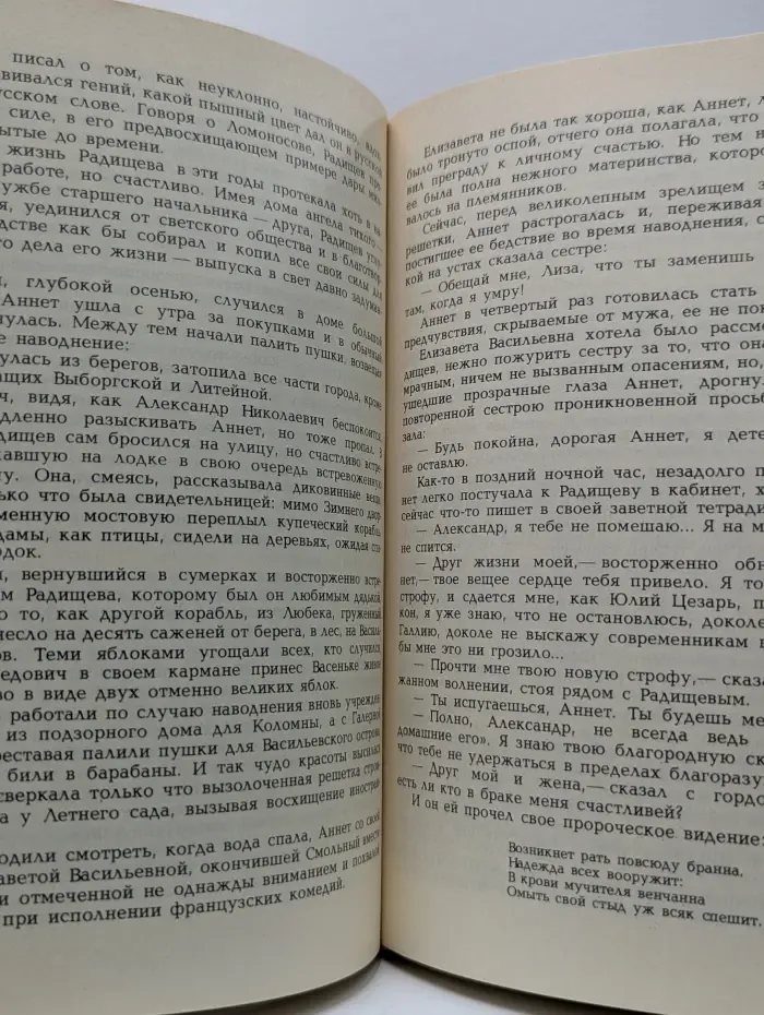 Радищев. Михайловский замок